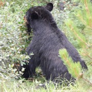 DSCN3463.jpg