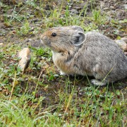 DSCN3482.jpg