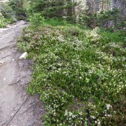 DSCN3499.jpg