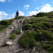 DSCN3501.jpg