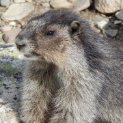 DSCN3512.jpg