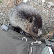 DSCN3518.jpg