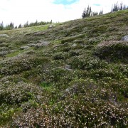 DSCN3545.jpg