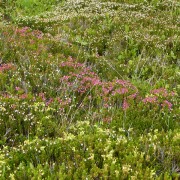 DSCN3547.jpg