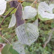 DSCN3568.jpg