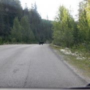 DSCN3579.jpg