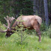 DSCN3583.jpg