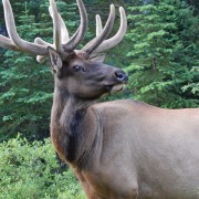 DSCN3585.jpg