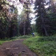 DSCN3602.jpg