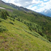 DSCN3649.jpg