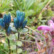 DSCN3683.jpg