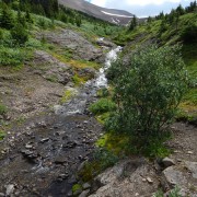 DSCN3705.jpg