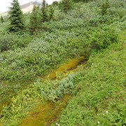 DSCN3709.jpg