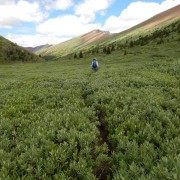 DSCN3711.jpg