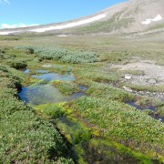 DSCN3770.jpg