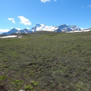 DSCN3778.jpg
