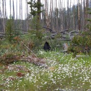 DSCN3823.jpg