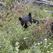 DSCN3830.jpg