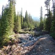 DSCN3865.jpg