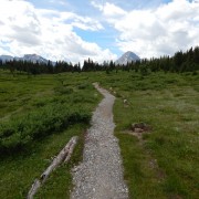 DSCN3920.jpg