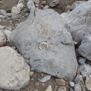 DSCN3937.jpg