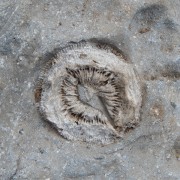 DSCN3938.jpg