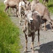 DSCN3951.jpg