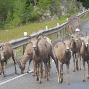 DSCN3963.jpg