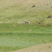 DSCN5717.jpg