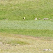 DSCN5719.jpg