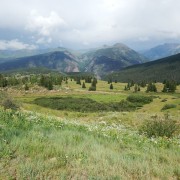 DSCN6027.jpg