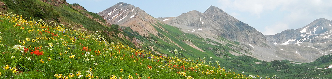 header2014 crestedbutte