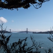IMG0355.jpg