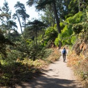 IMG0361.jpg