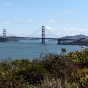 IMG0362.jpg