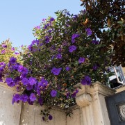 IMG0364.jpg