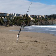IMG0369.jpg