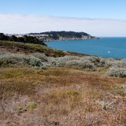 IMG0377.jpg