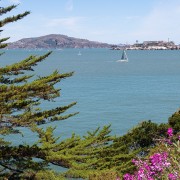 IMG0395.jpg