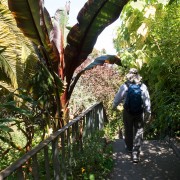 IMG0408.jpg