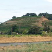 IMG0419.jpg