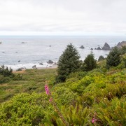 IMG0592.jpg