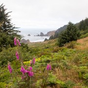 IMG0594.jpg