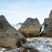 IMG0613.jpg