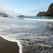 IMG0615.jpg