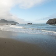 IMG0617.jpg