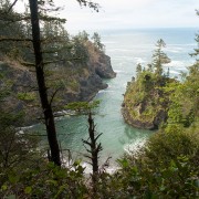 IMG0619.jpg