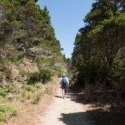 IMG0666.jpg