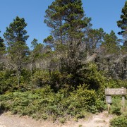 IMG0667.jpg