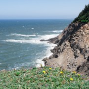 IMG0672.jpg